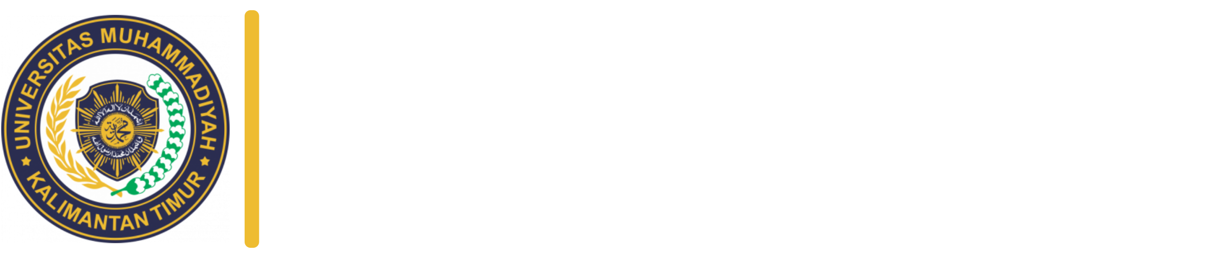 Logo Bagian Teknologi Informasi UMKT