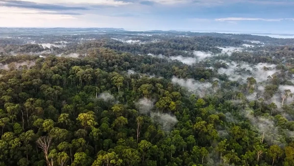 Menghadapi Perubahan Iklim di Kalimantan Timur, Apa yang Bisa Dilakukan Mahasiswa?